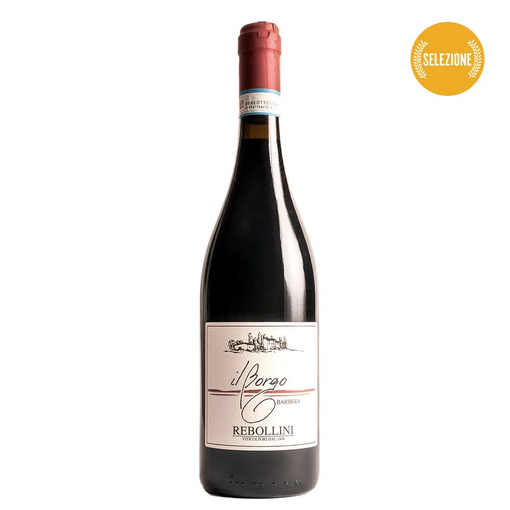 Oltrepo’ Pavese Barbera DOP 2023 "Il Borgo"